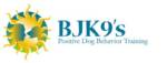 BJK9s, INC. logo